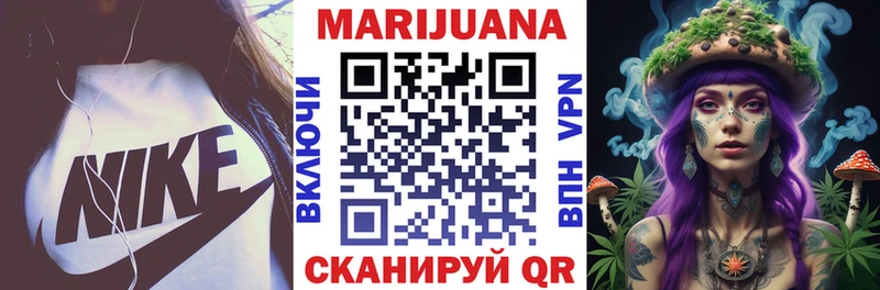 Каннабис сатива  Новотитаровская 
